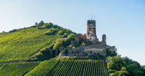 Burgruine Fürstenberg (2) by Erhard Hess