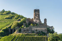 Burgruine Fürstenberg 61 von Erhard Hess