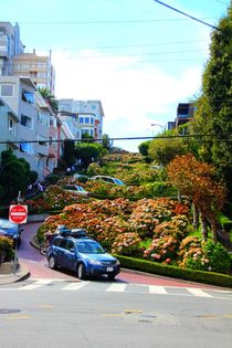 Lombard Street, die Kurvenstraße San Franciscos von ann-foto