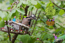 Buntspecht  and friends - Lustige Pankies-Wimmelei by Heike  Langenkamp