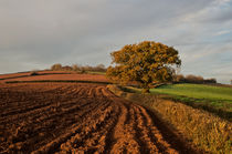 Furrows and Field by Pete Hemington