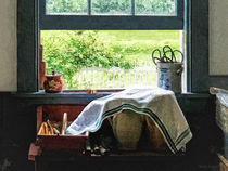 View From Kitchen Window by Susan Savad