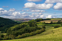 Surprise View von Colin Metcalf