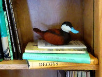 Duck Decoy on Bookshelf von Susan Savad