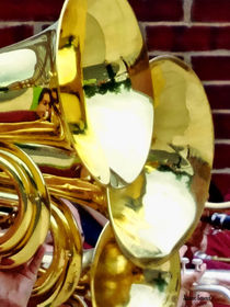 Baritone Horns by Susan Savad