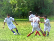 Soccer Ball in Play by Susan Savad