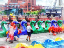 Baltimore MD - Dragon Boats  by Susan Savad