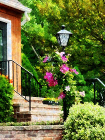 Clematis on a Lamp Post von Susan Savad