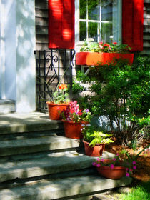 Flower Pots and Red Shutters by Susan Savad