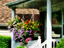 Hanging Baskets by Susan Savad