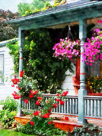 Hanging Baskets and Climbing Roses by Susan Savad