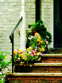 Pansies on Steps by Susan Savad