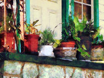 Plants on Porch by Susan Savad