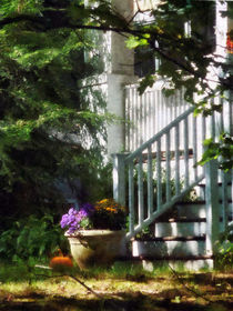 Porch With Pot of Chrysanthemums by Susan Savad