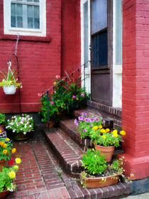 Pots of Flowers by Door by Susan Savad