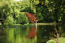 Teich im Englischen Garten in München von Sabine Radtke