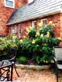 Outdoor Cafe With Hydrangea von Susan Savad