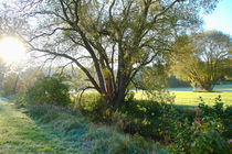 Herbstmorgen am Bach by Bernhard Kaiser