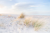 Weite am Strand von Ruby Lindholm