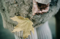 autumn  von Inna Mosina