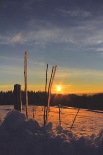 Winter von Bernhard Kaiser