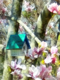Birdhouse in Magnolia by Susan Savad