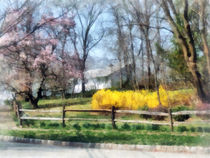 House With Magnolias and Forsythia von Susan Savad