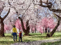 Lovely Spring Day For a Walk von Susan Savad