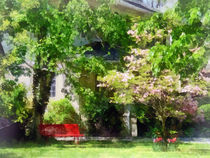 Red Bench by Pink Tree by Susan Savad