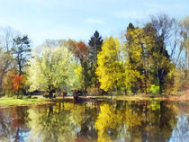 Spring in the Park by Susan Savad