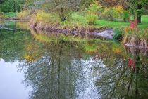 Herbst im Park... 1 by loewenherz-artwork