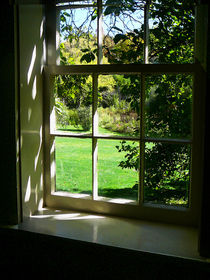 Summer Day Through the Window by Susan Savad