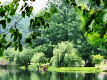 Weeping Willow in the Mist by Susan Savad