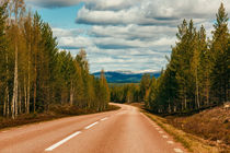 Road up to the mountains von David Pinzer