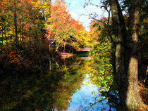 Autumn Park With Bridge by Susan Savad