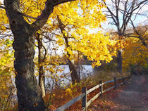 Autumn Path in the Park von Susan Savad