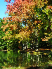 Autumn Reflections von Susan Savad