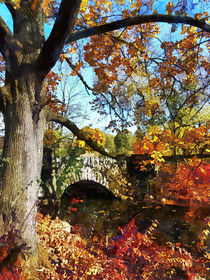 Autumn Tree by Small Stone Bridge by Susan Savad