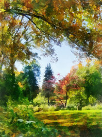 Autumn Vista von Susan Savad