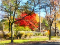 Colorful Autumn Street by Susan Savad