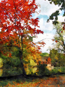 Distant Mill  in Autumn by Susan Savad