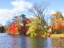 House by Lake in Autumn by Susan Savad