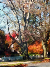 House With Picket Fence in Autumn by Susan Savad