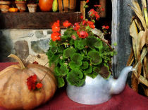 Teapot Filled With Geraniums by Susan Savad