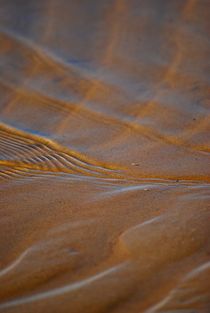 on the beach... 11 von loewenherz-artwork