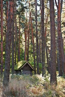 old hut deep in the woods... 3 von loewenherz-artwork