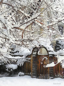 Garden Gate in Winter by Susan Savad