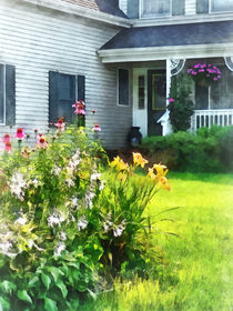 Garden with Coneflowers and Lilies von Susan Savad