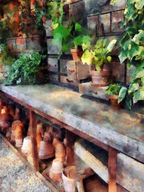 Greenhouse with Flowerpots von Susan Savad