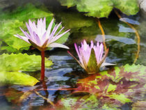 Two Purple Water Lotus by Susan Savad